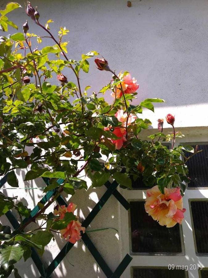 Beb Infamiglia Bed & Breakfast Cascinette Exterior photo